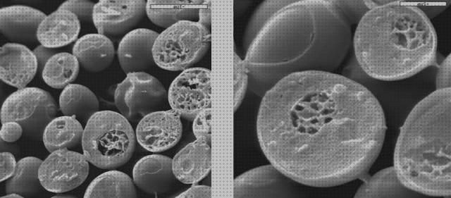 Los mejores 25 Microscopios Electronicos De Barridos Levaduras