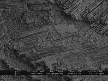 ¿Dónde poder comprar Más sobre telescopio terrestre reticula Más sobre microscopio electronico poros nucleares Más sobre microscopio óptico cariograma microscopio electronico de barrido metales?