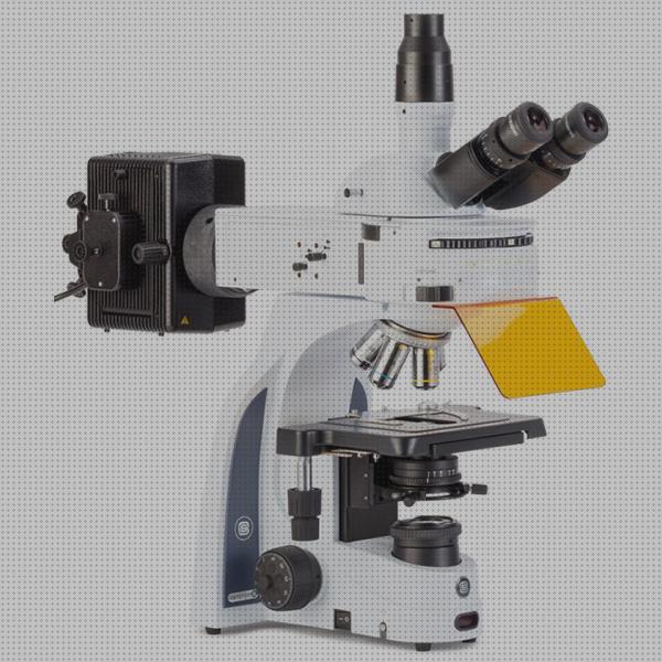 Las mejores marcas de microscopio fluorescencia microscopio electrónico de fluorescencia