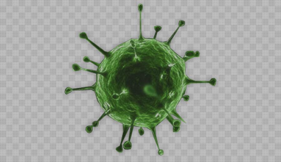 Las mejores microscopio electrónico de la gripe