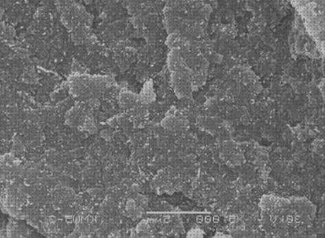 Los mejores 21 Microscopios Electrónicos De Transmision Itq