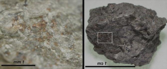 ¿Dónde poder comprar microscopio electronico depositio de nitrogeno?