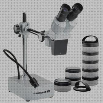 Los 20 Mejores Microscopios Electronicos Mejores Que Esteromicroscopio