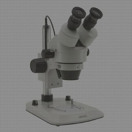 ¿Dónde poder comprar microscopio electrónico de barrido urjc microscopio electrónico poros nucleares microscopio electronico poros nucleares microscopio electronico mejor que esteromicroscopio?