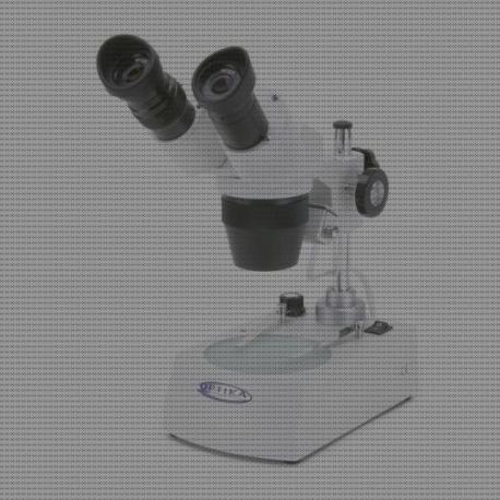 Las mejores microscopio electrónico de barrido urjc microscopio electrónico poros nucleares microscopio electronico poros nucleares microscopio electronico mejor que esteromicroscopio