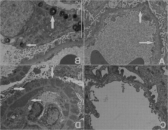 ¿Dónde poder comprar Más sobre microscopio electronico de barrido eds Más sobre telescopio terrestre reticula Más sobre microscopio electronico poros nucleares microscopio electronico plata 60 90nm?