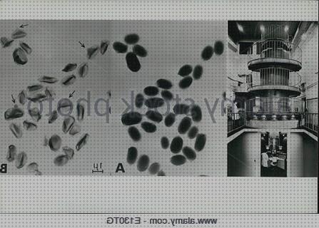 ¿Dónde poder comprar microscopio electronico voltio?