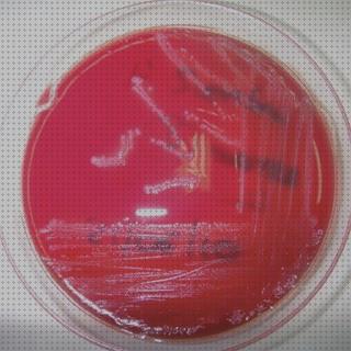 ¿Dónde poder comprar paracloroanilina microscopio electronico y paracloroanilina?