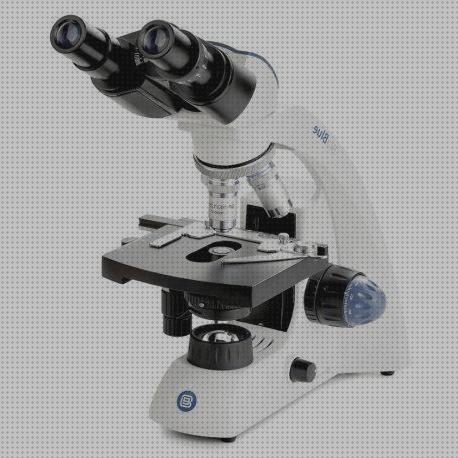 Las mejores euromex microscopio euromex