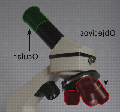 Las mejores microscopio fotonico Más sobre microscopio electronico de transmisión nucleo poros Más sobre microscopio óptico 400 euros microscopio fotonico y óptico