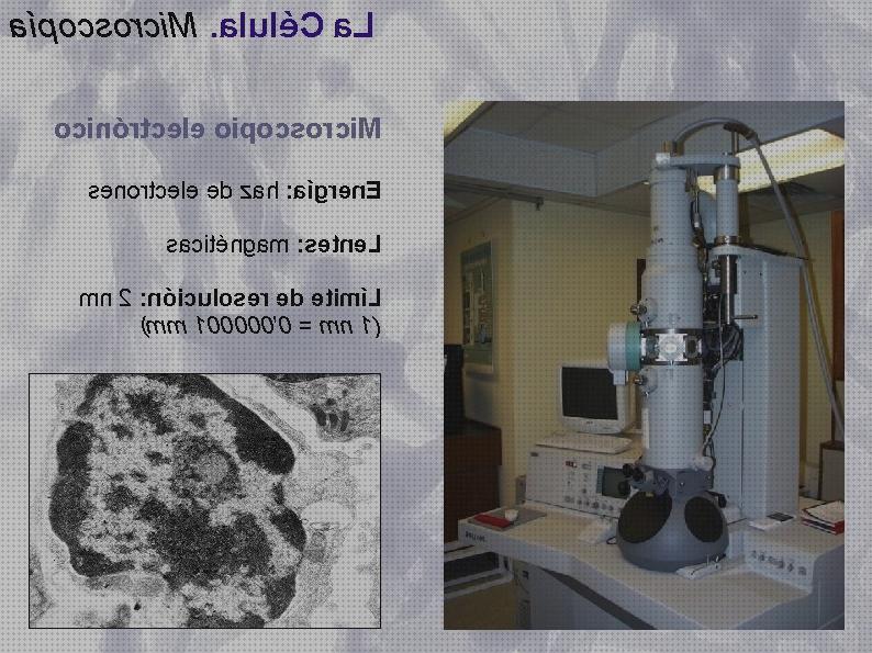 Las mejores microscopio energia electrones microscopio haz de electrones