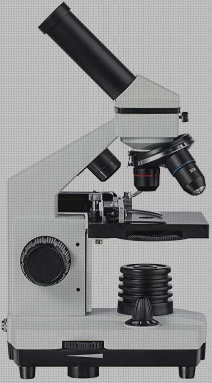 Las mejores marcas de Más sobre microscopio anatomia microscopios microscopio hd