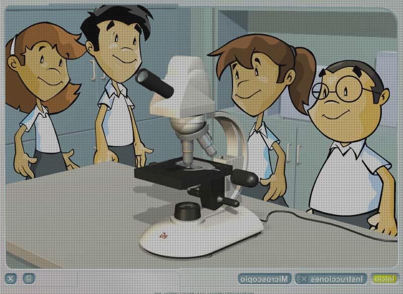 Las mejores marcas de Más sobre microscopio anatomia microscopios microscopio interactivo