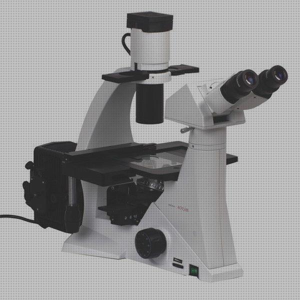 Los 16 Mejores Microscopios Invertidos De Fluorescencia