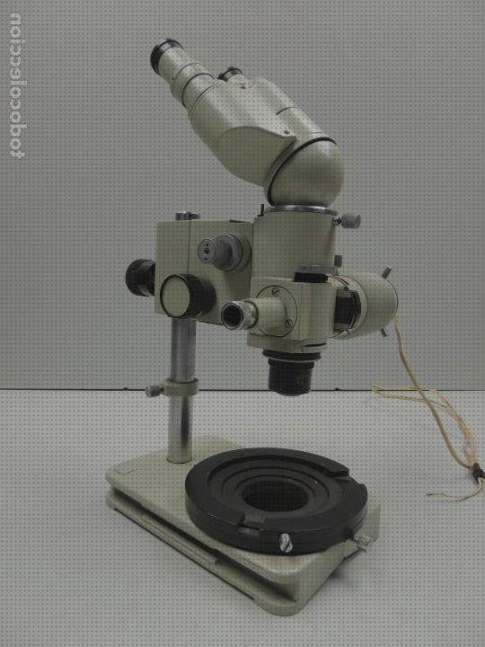 Las mejores marcas de microscopios microscopio lomo