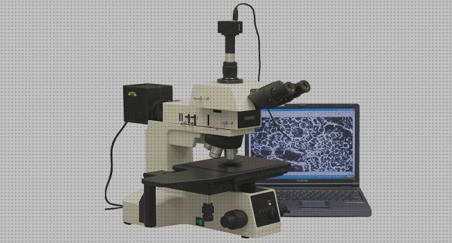 Las mejores marcas de compuestos ópticos microscopios microscopio óptico compuesto de campo oscuro