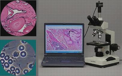 Review de microscopio óptico con cámara