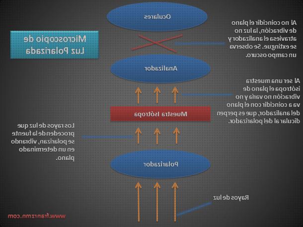 Las mejores microscopio luz polarizada Más sobre microscopio óptico 400 euros microscopio óptico de luz polarizada