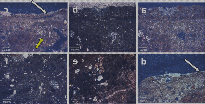 Las mejores marcas de ópticos microscopios microscopio óptico de polarización