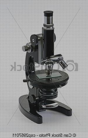 Las mejores marcas de fondos ópticos microscopios microscopio optico fondo blanco