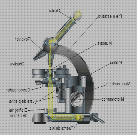 Las mejores ópticos microscopios microscopio óptico histologia