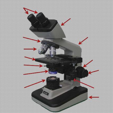 22 Mejores microscopios optico interactivos