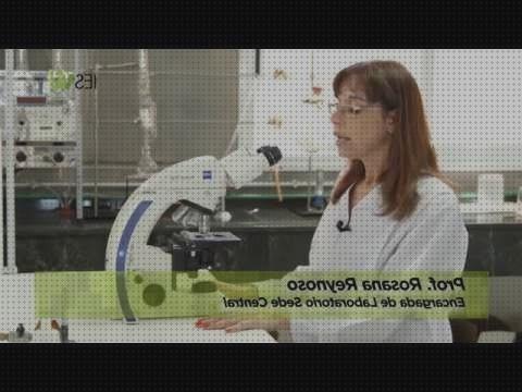 Review de microscopio optico microbiologia