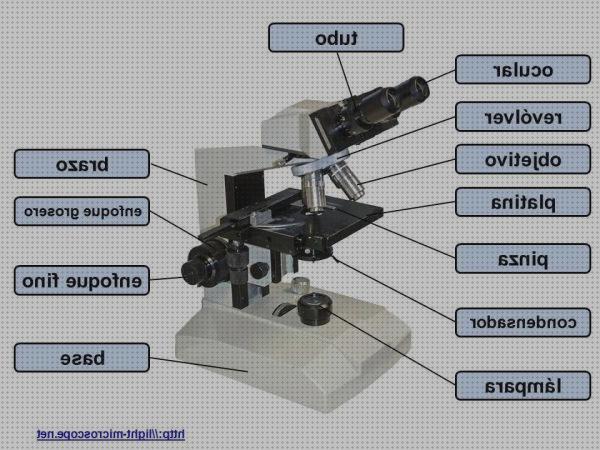 Los 33 Mejores microscopios optico paartes bajo análisis