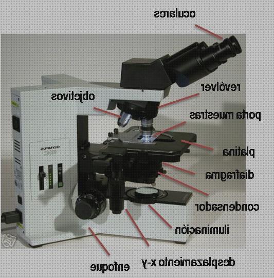 Las mejores platina microscopio óptico platina