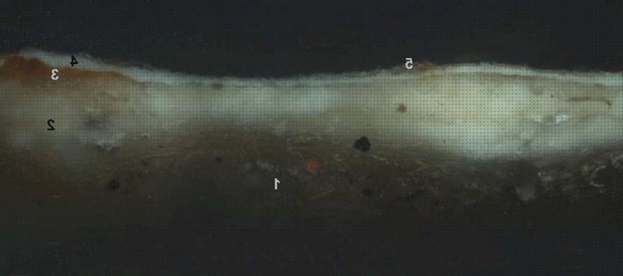 ¿Dónde poder comprar ópticos microscopios microscopio optico precio ecuador?