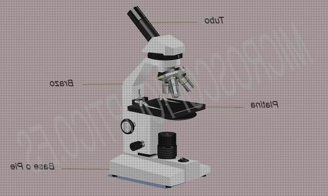 ¿Dónde poder comprar microscópio óptico microscopios microscopio óptico sistema óptico?