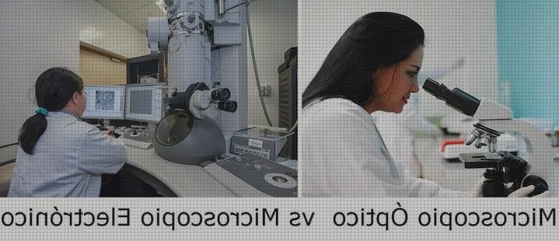 Los 34 Mejores Microscopios Optico Y Electronicos Caracteristicas