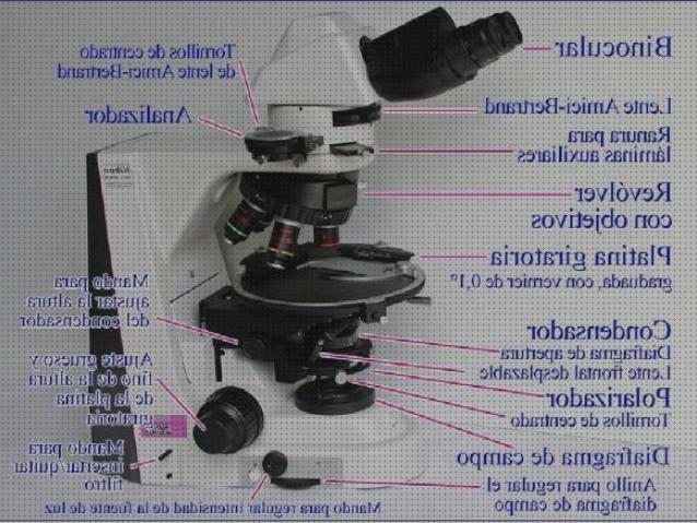 Las mejores marcas de petrografico microscopios microscopio petrográfico caracteristicas