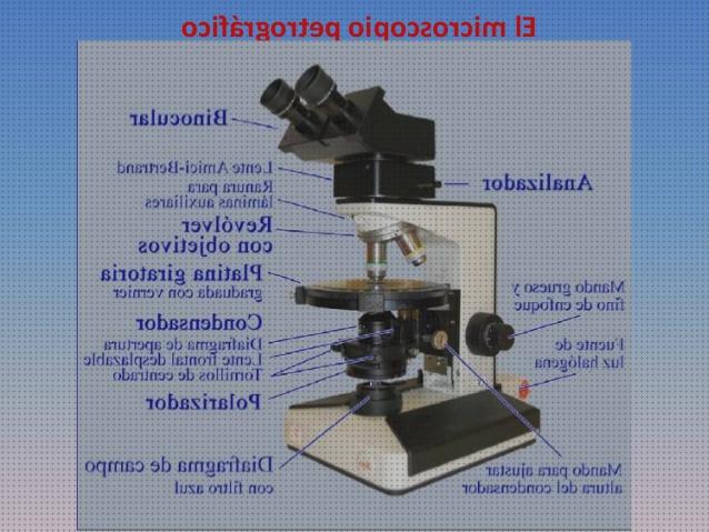 Los 30 Mejores Microscopios Petrográfico Caracteristicas