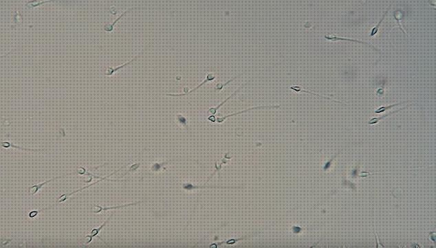 Review de los 29 mejores microscopios semen a la venta