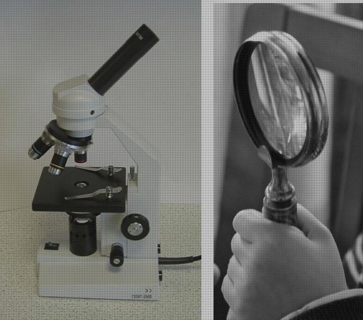 Los 17 Mejores microscopios tipos lupas