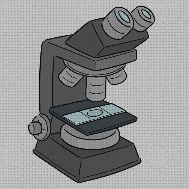 Las mejores marcas de microscopios microscopio vector