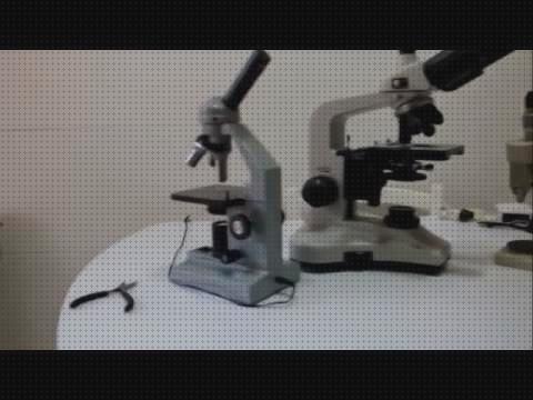 Las mejores binocular microscopio y lupa binocular