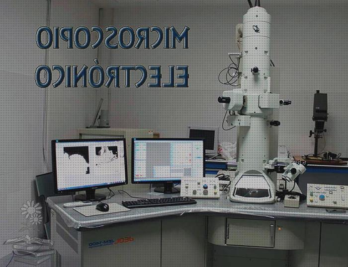 Las mejores microscopios microscopios de barrido electrónico ver átomos