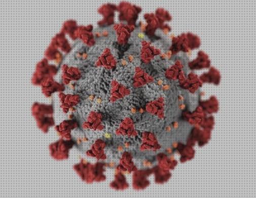 Las mejores marcas de electrónicos microscopios microscopio electronico receptor