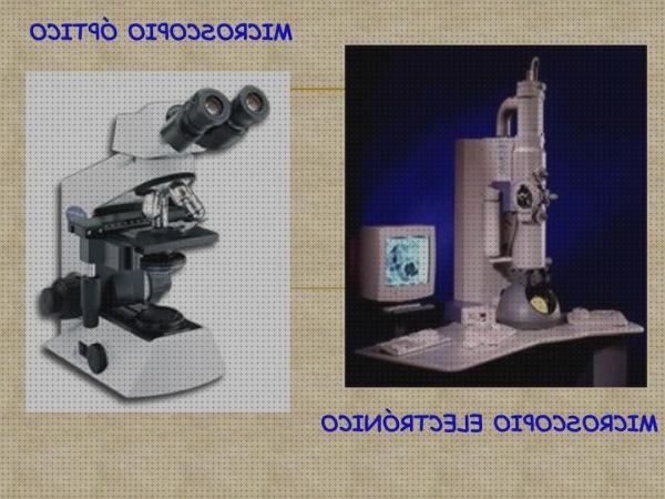 Las mejores microscopios microscopios electronicos y tipos