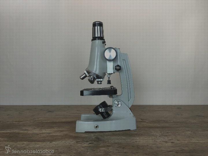 ¿Dónde poder comprar microscopios microscopios escolares?
