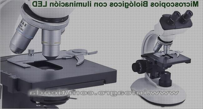 Las mejores marcas de microscopio biológico