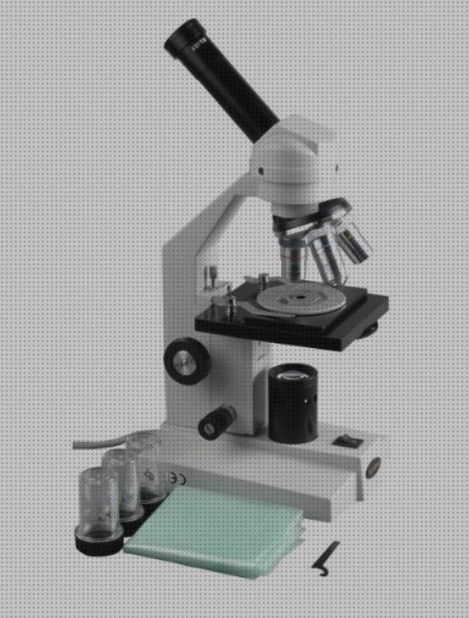 Las mejores marcas de microscopio claro
