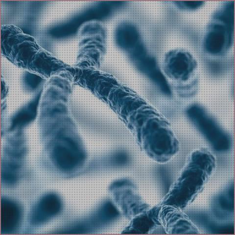 Opiniones de los 22 mejores Microscopios Optico Cariograma Nucleo