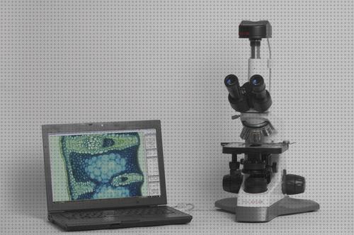 Análisis de los 28 mejores microscopios opticos asistidos