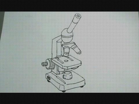 Análisis de los 33 mejores microscopios opticos dinujo