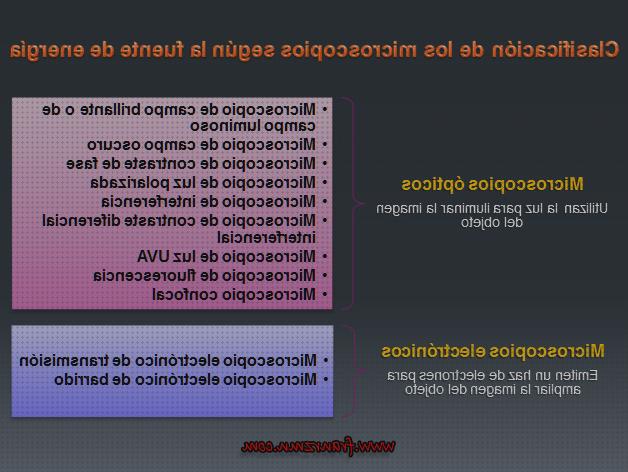 Las mejores marcas de ópticos microscopios microscopio optico neutrófilo