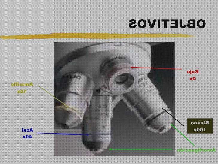 Las mejores marcas de objetivos microscopio Más sobre microscopio óptico 400 euros objetivos de microscopio compuesto