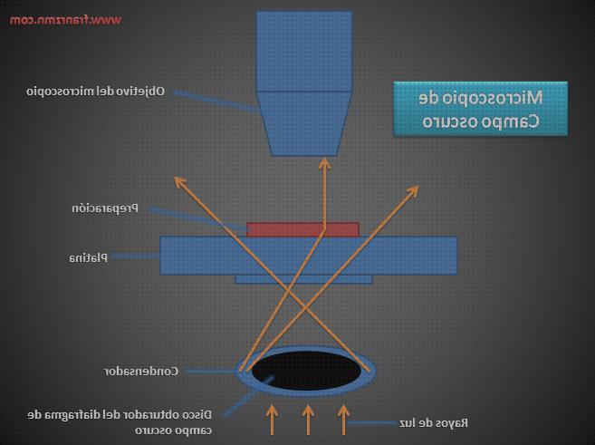 Review de objetivos microscopio optico tipos